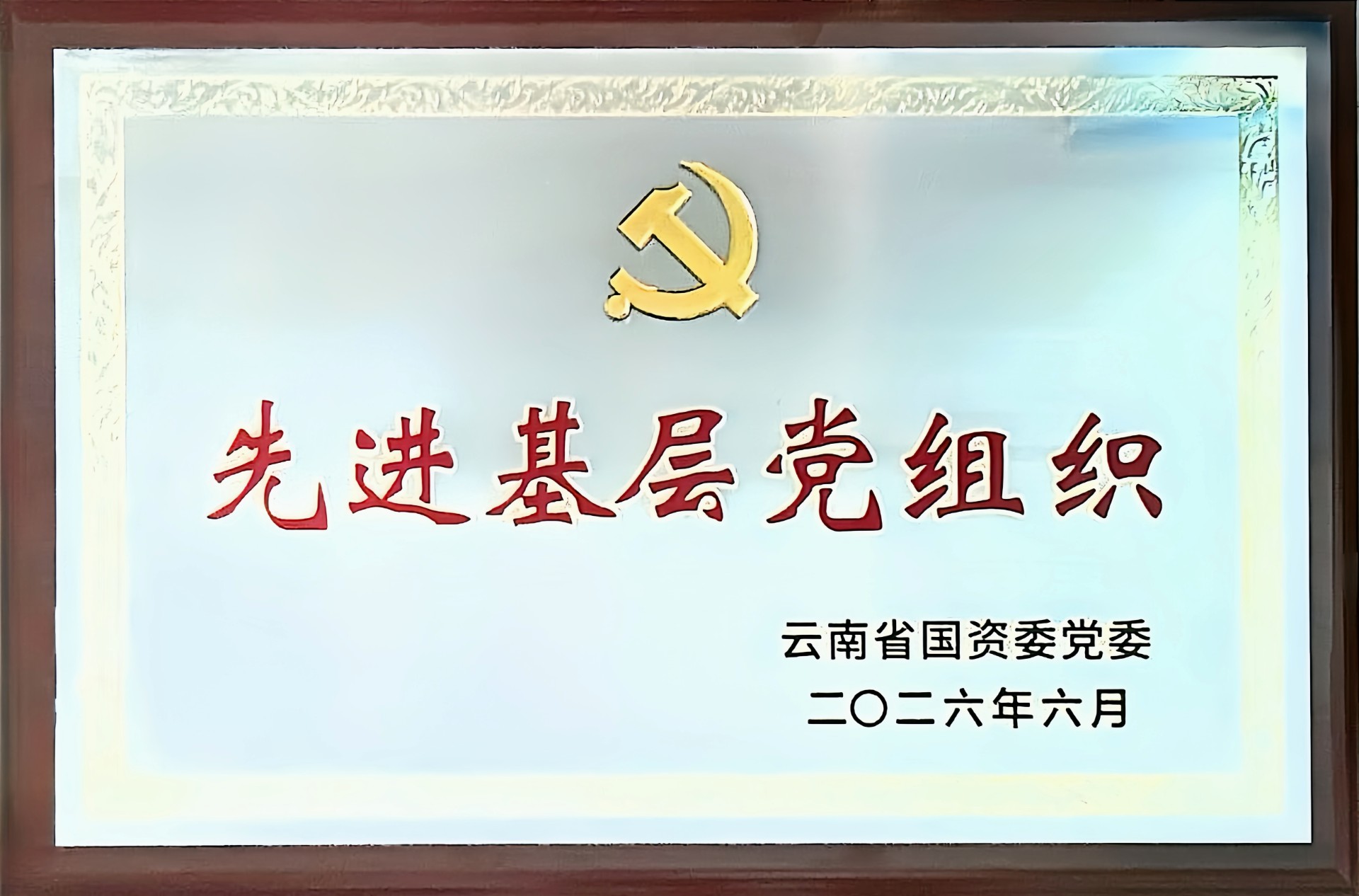 公司多名黨員、基層黨組織榮獲國資委和集團“兩優一先”表彰